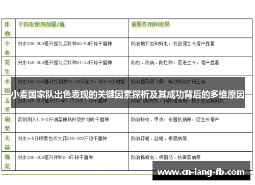 小麦国家队出色表现的关键因素探析及其成功背后的多维原因